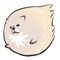 コシヒト