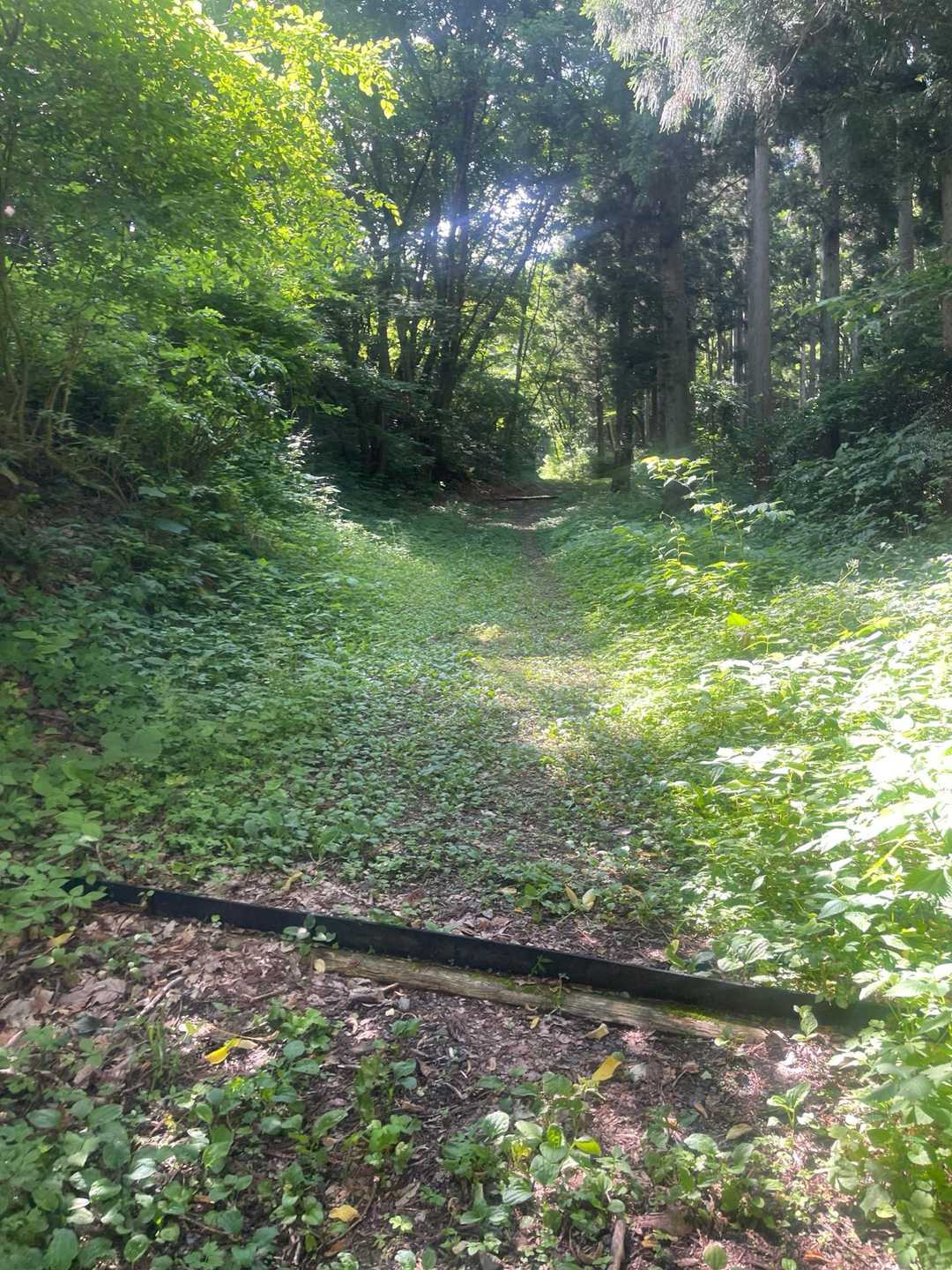 日山 往復コースの写真
