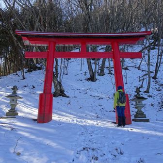 鳥居を抜けて、神社のある山頂へ向かいます⛩️