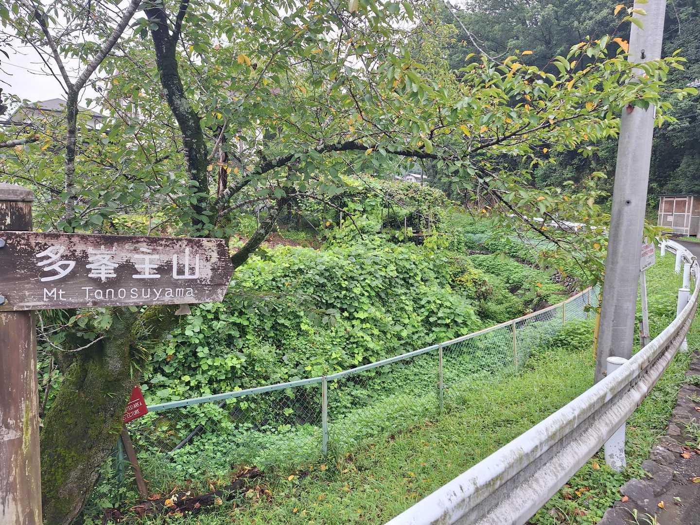 天覧山には行かず直接多峯主山へ