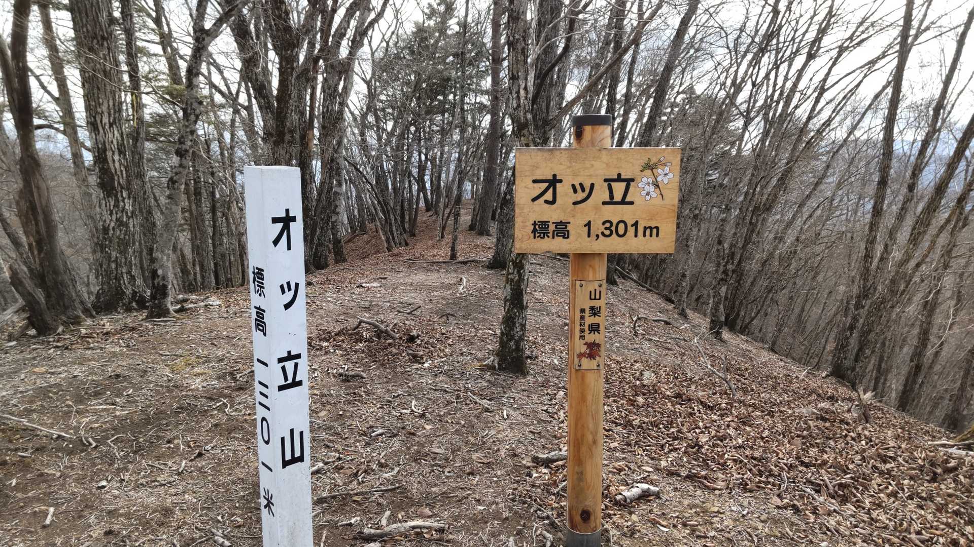 前回、甲州アルプスを歩いたときに素通りしてしまった、おもしろい名前のお山
お師匠のレポにあったので私も見たかったんです🤭