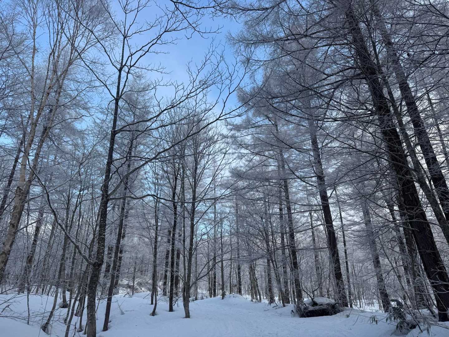 青空が出てきた。期待できそう！