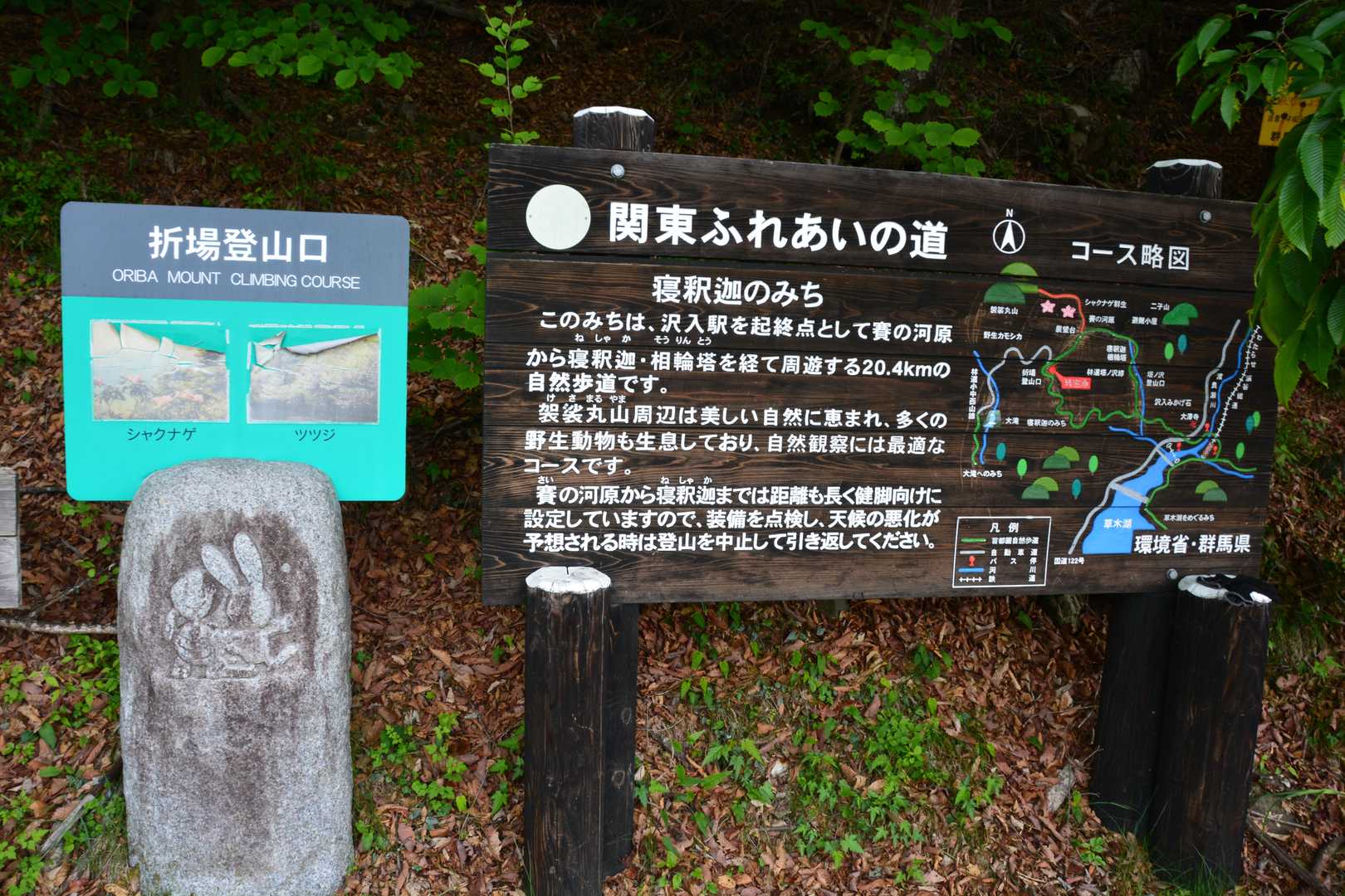 前袈裟丸山 往復コースの写真