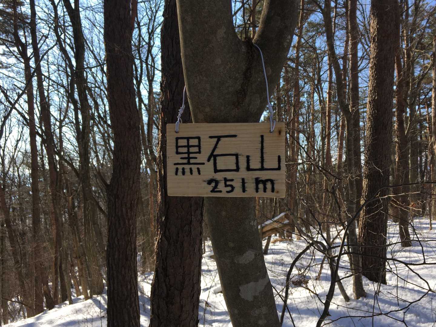 到着‼️