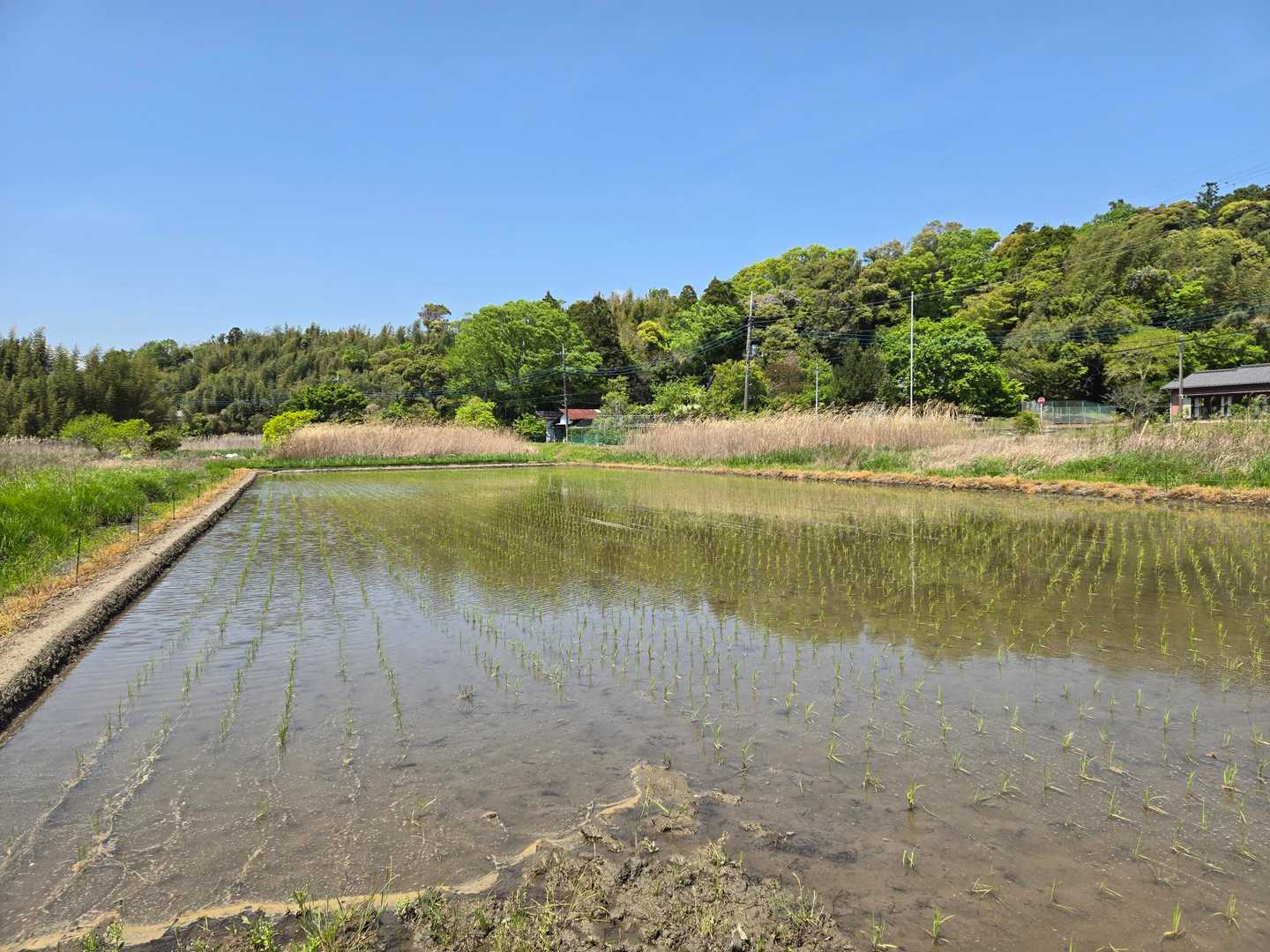 折り返し地点で
行ったんコースから出ます