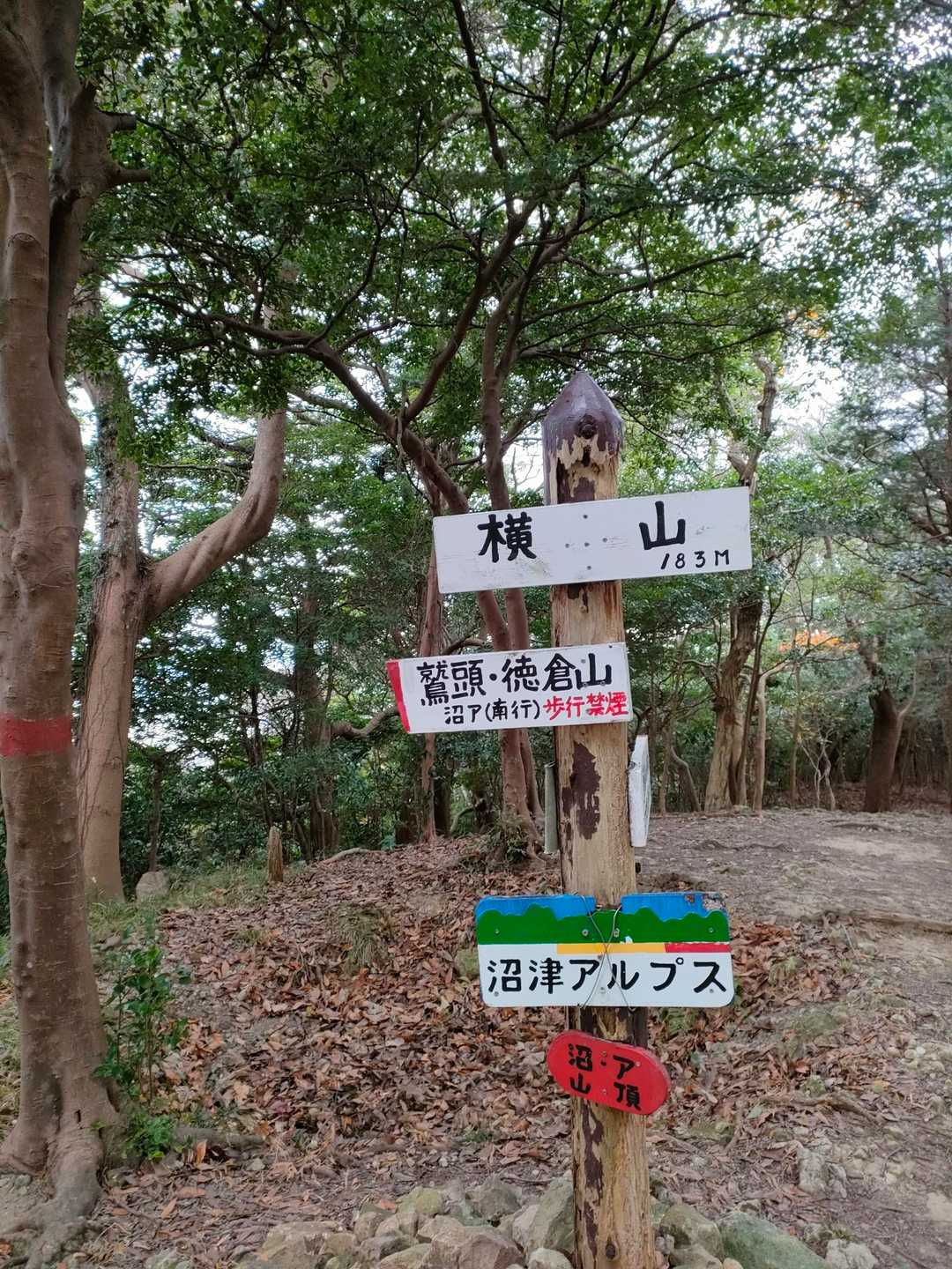 ピーク2横山