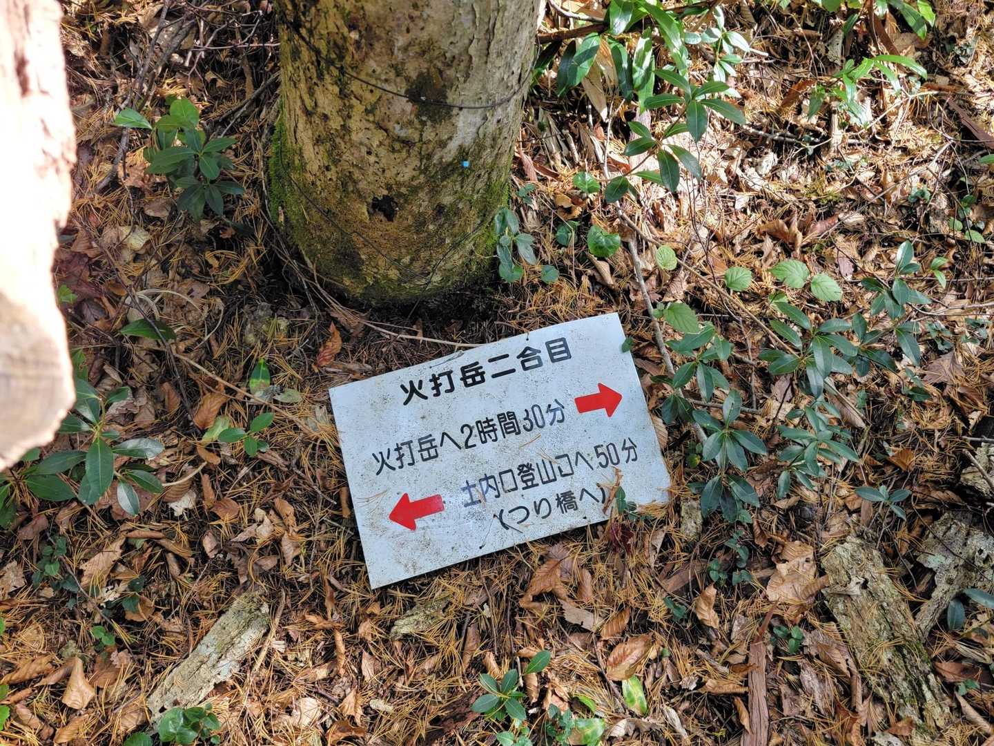 急登を登り終えて2合目