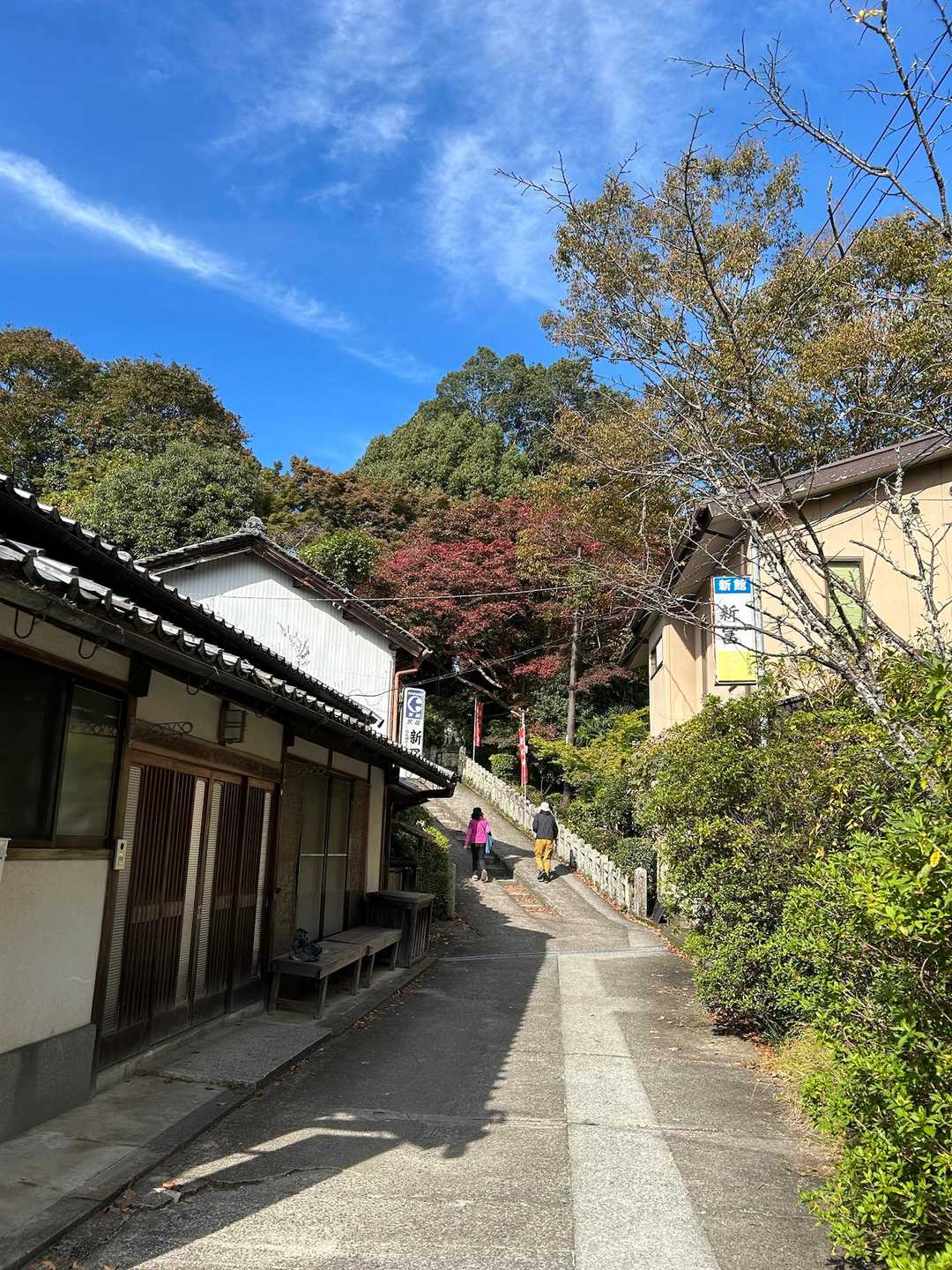 京都のような小径を歩きます🎋

めちゃ良い天気☀️