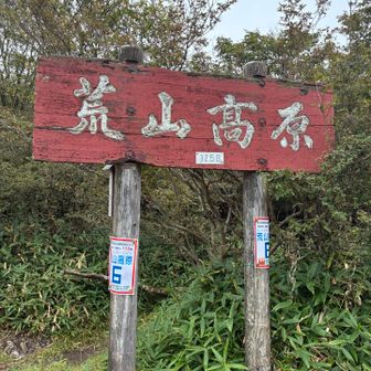 荒山高原まで来ました〜ここは開けてて気持ちいい(..◜︎◡︎◝︎..)