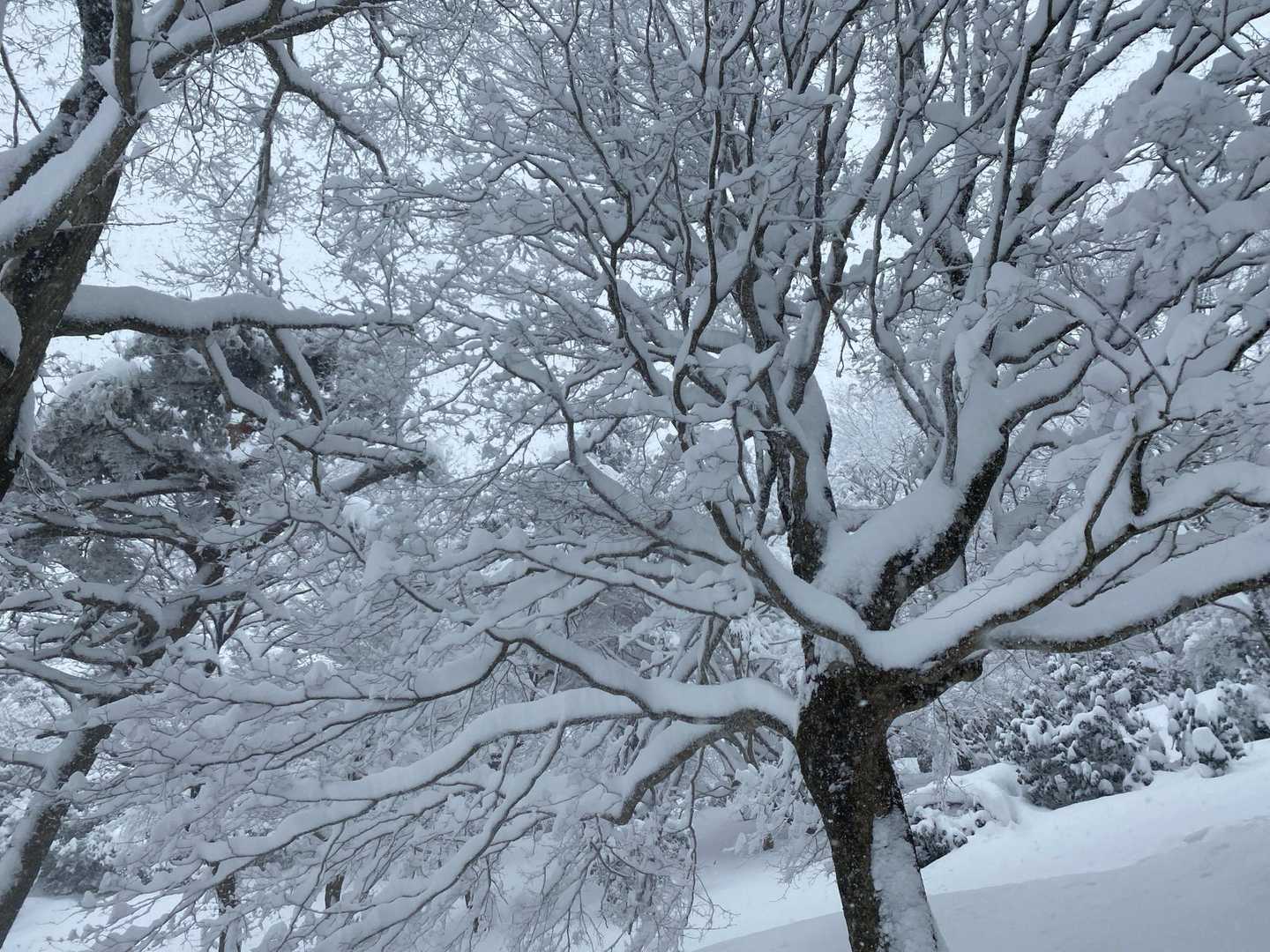 東山 周回コースの写真