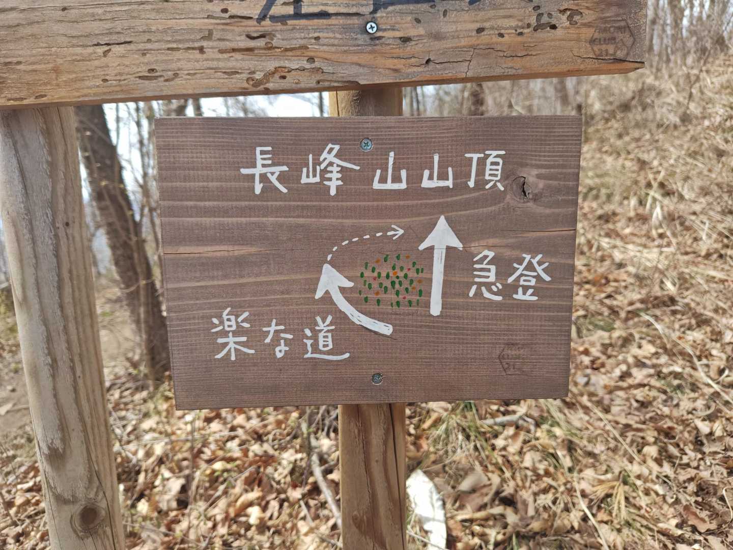 急登を選択🥸🎶