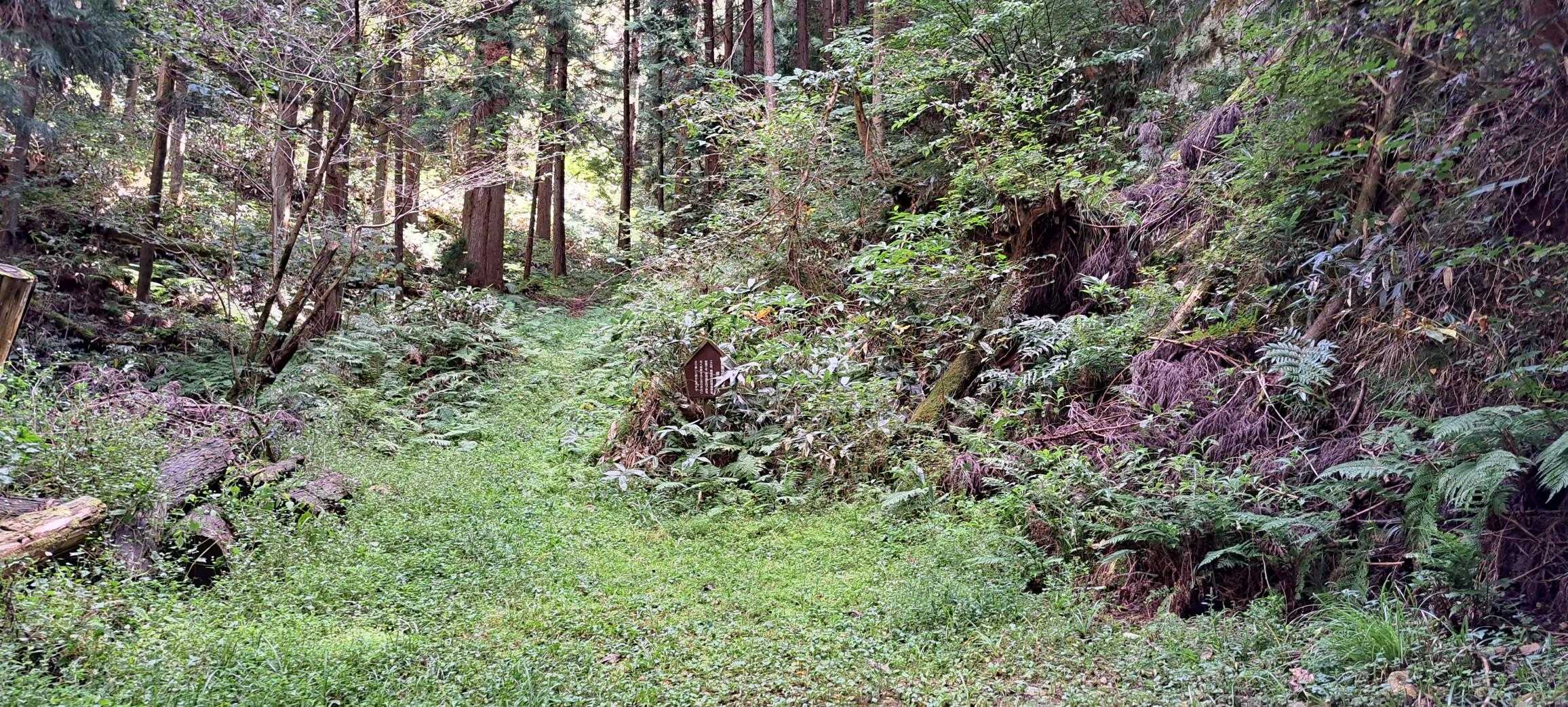女亀山 往復コースの写真