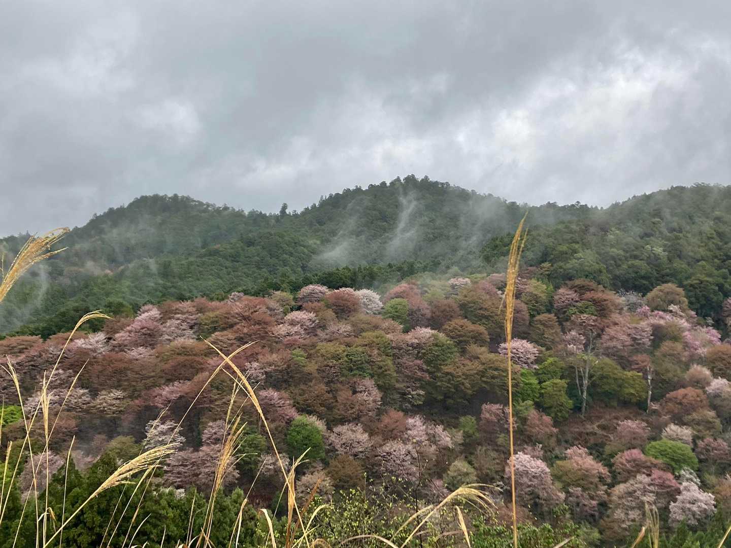 小雨になって雨煙が上がってきた