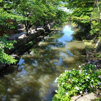 橋の上から