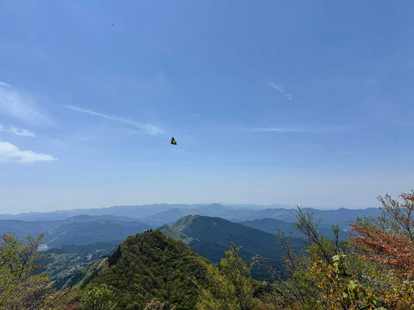 後古光山-古光山-亀山-亀山峠 周回コースの写真