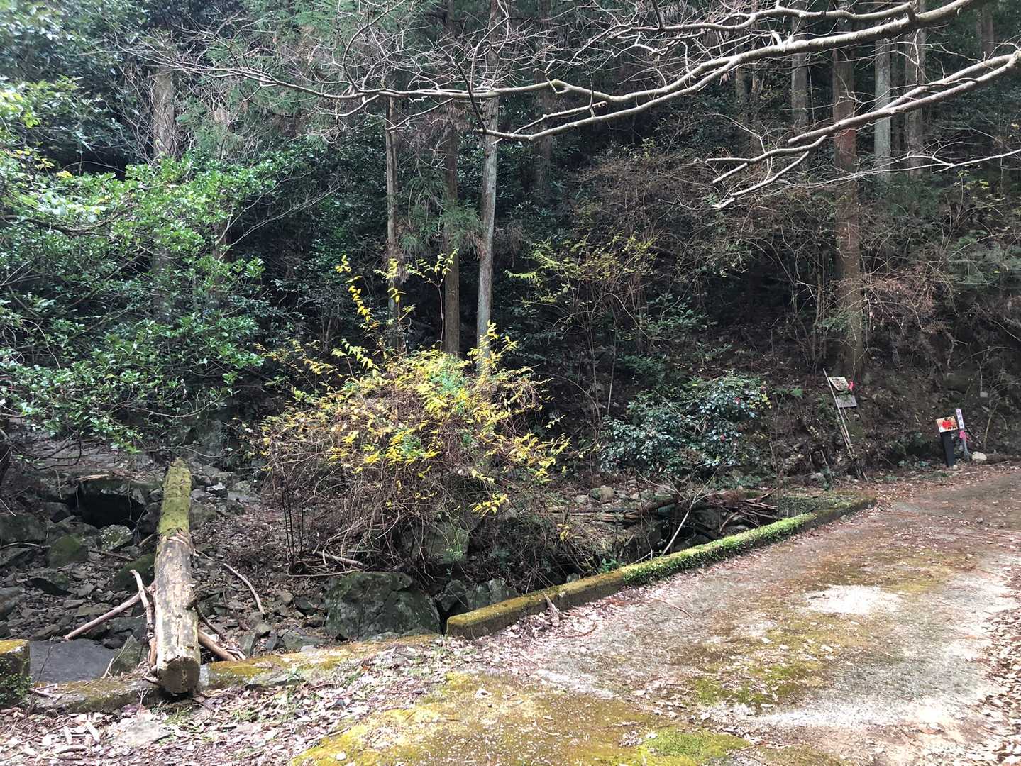 登山口発見