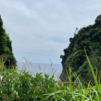 山ふたつ