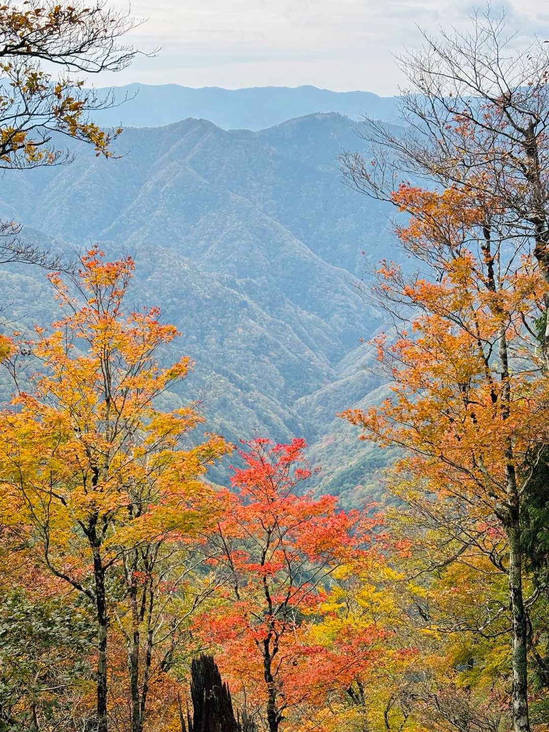 いいね👍📸
