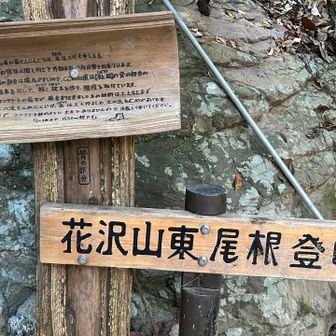 狭い階段を登っていきます。