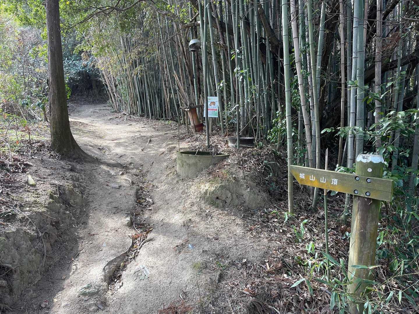 登山口に到着❗️
ここから登山道ですが…観光地の遊歩道並みに整備されているのでハイキング気分で歩けます😊🎵