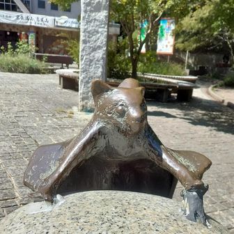 🌸その辺の草🌸