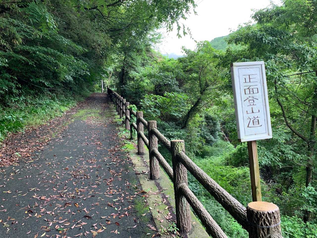 めっちゃ整備されてる雰囲気😆