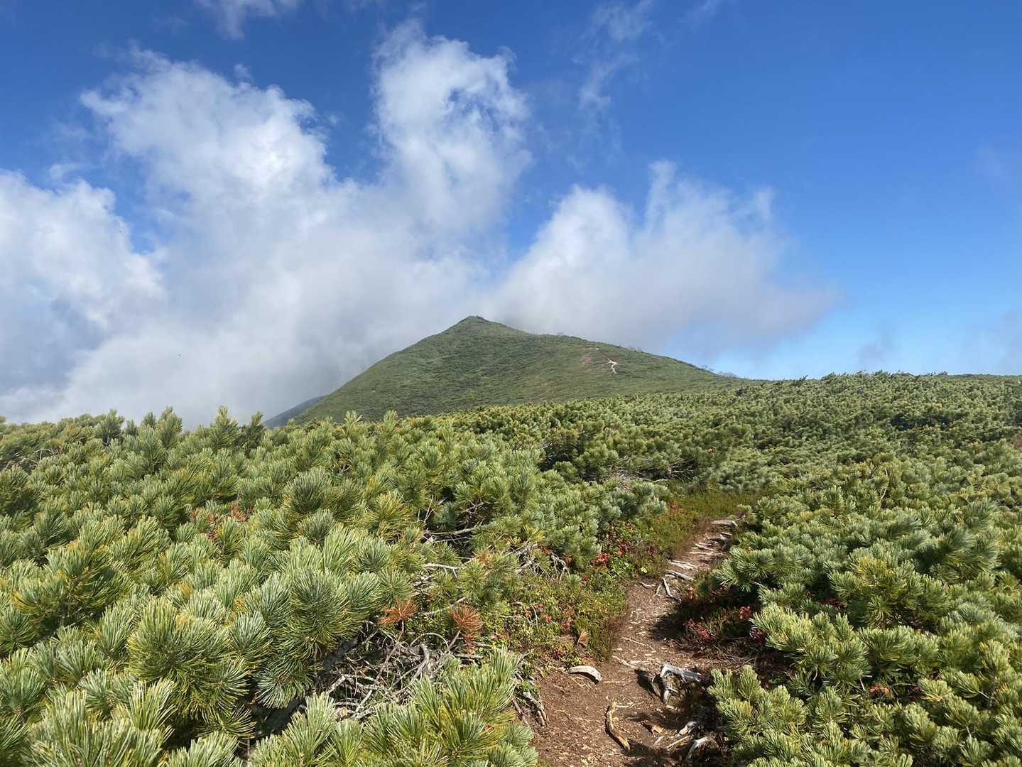 たぶん、あれもpeakではない👀（疑）