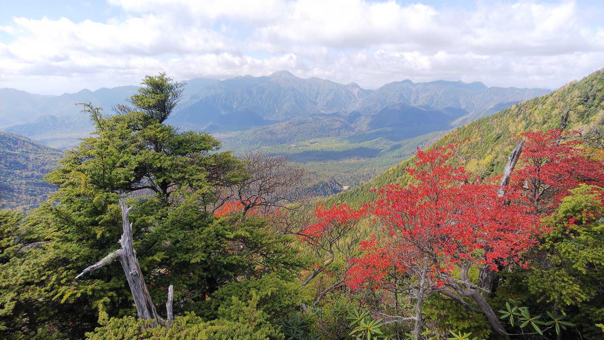 小さいですが、中央が関東以北最高峰、白根山。