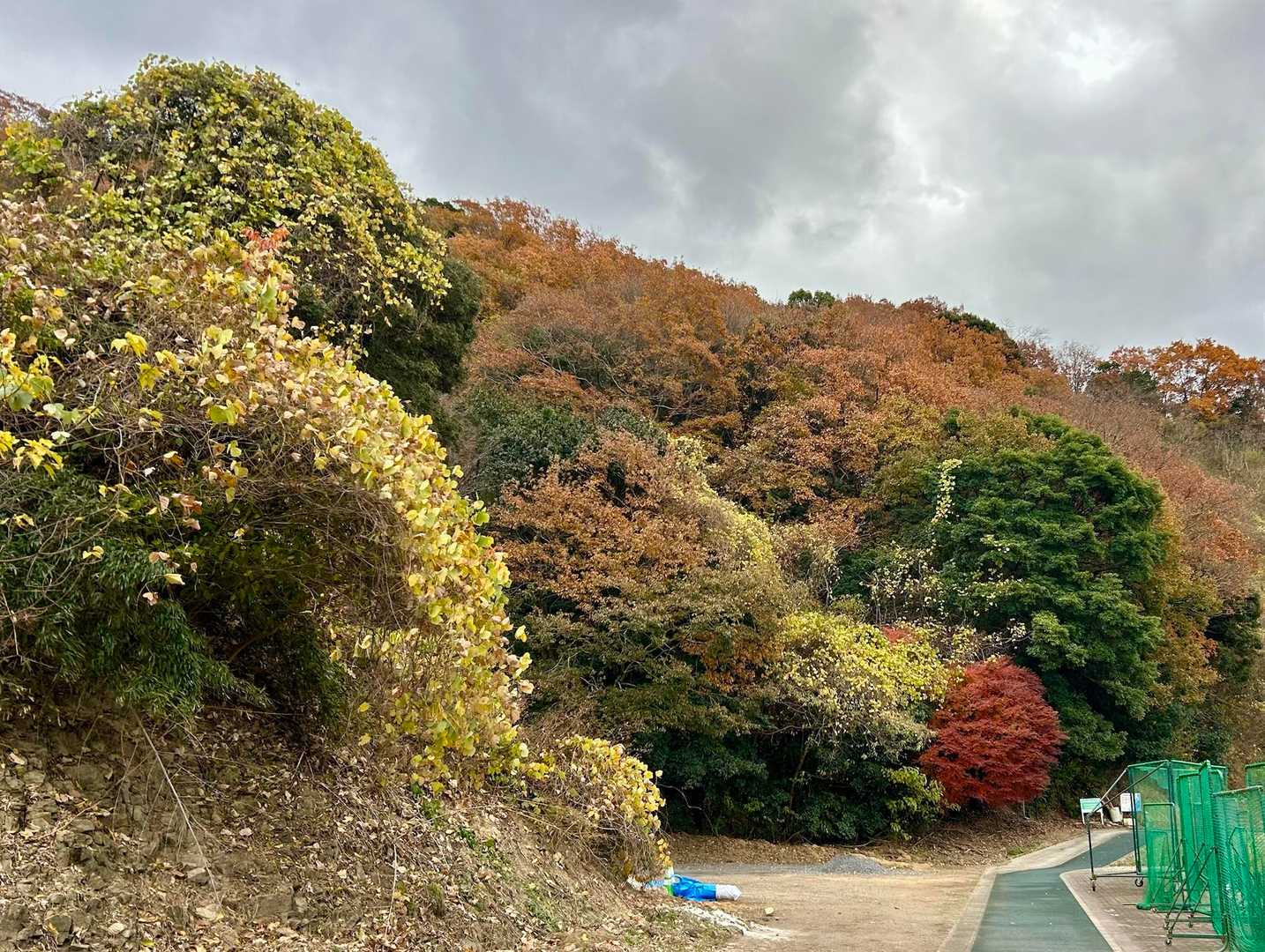 登山口の紅葉も
いい頃合いに((´∀｀*))
