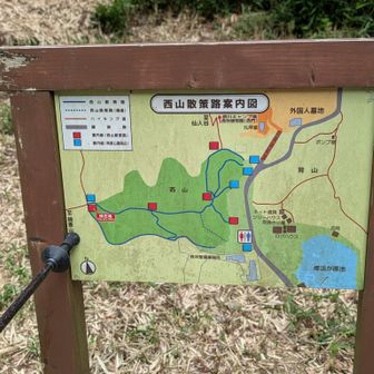 🦯鍋蓋山へ向かってます
