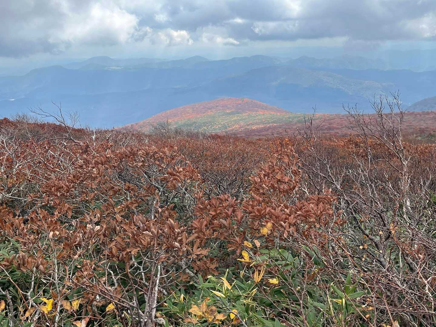 東栗駒山 往復コースの写真