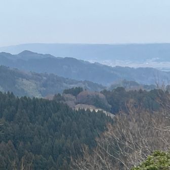 えーっと本丸は…真ん中の下のハゲた場所だって。ランチ中だった地元の方に教えてもらった。ここは本丸より80 m高いそう⛰️