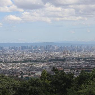 大阪市内
背後は生駒山や金剛山？