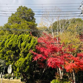 耳成山の登山口