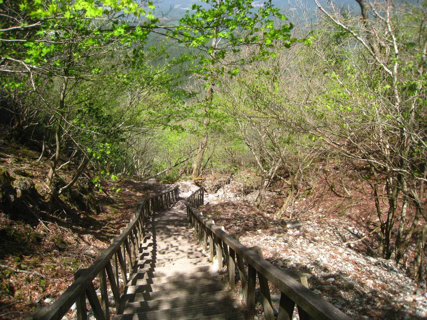 快適な登山道… 感謝です。