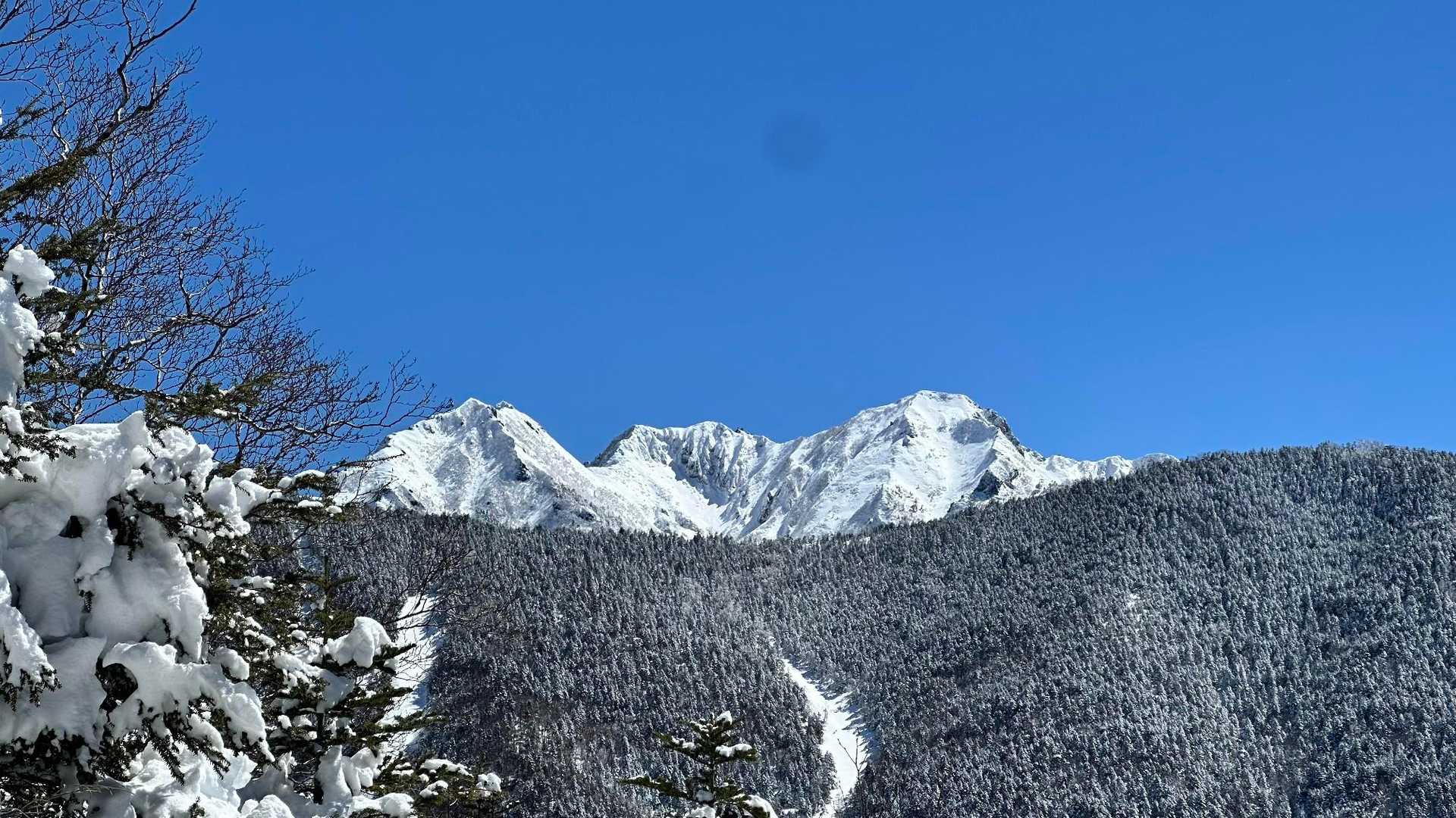 コチラは権現岳。