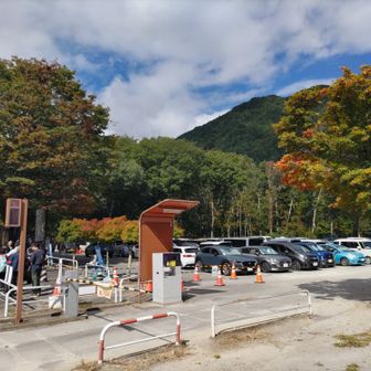さすが千畳敷🍁ｼｰｽﾞﾝ 平日だけど
菅の台ﾊﾞｽｾﾝﾀｰ🅿　🈵です😳行列も‥