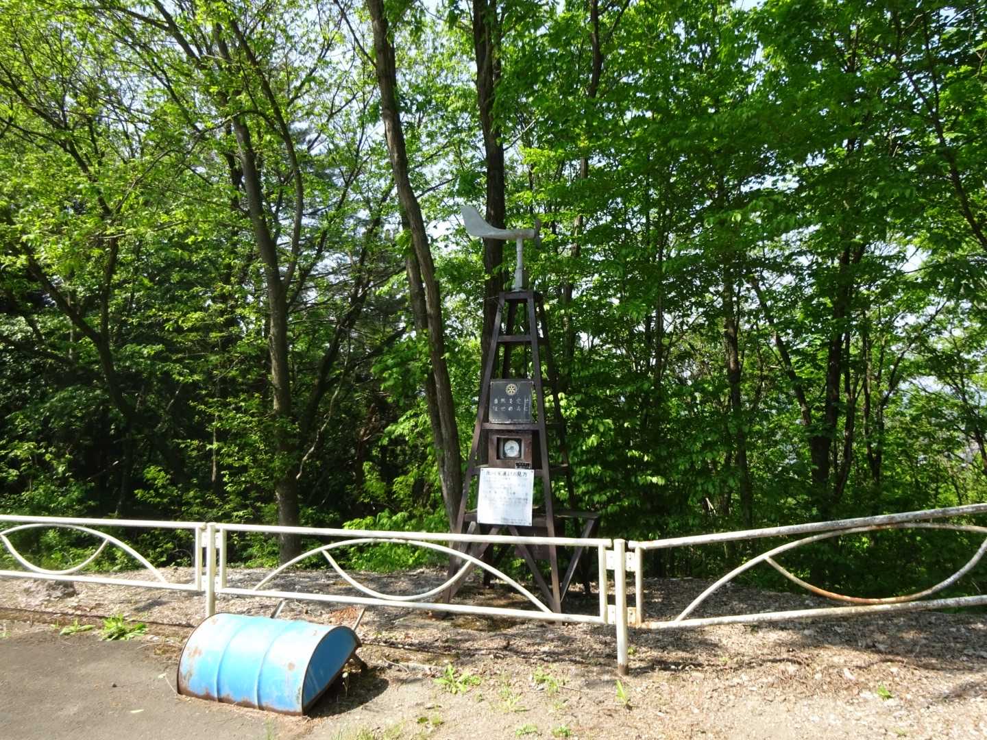 こちらの風見鶏？風見飛行機？風当たり悪そう(笑)