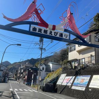 由比の町を通って戻ります。