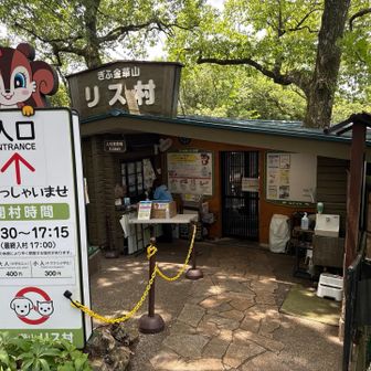 リスと触れ合えるらしいリス村あり🐿️