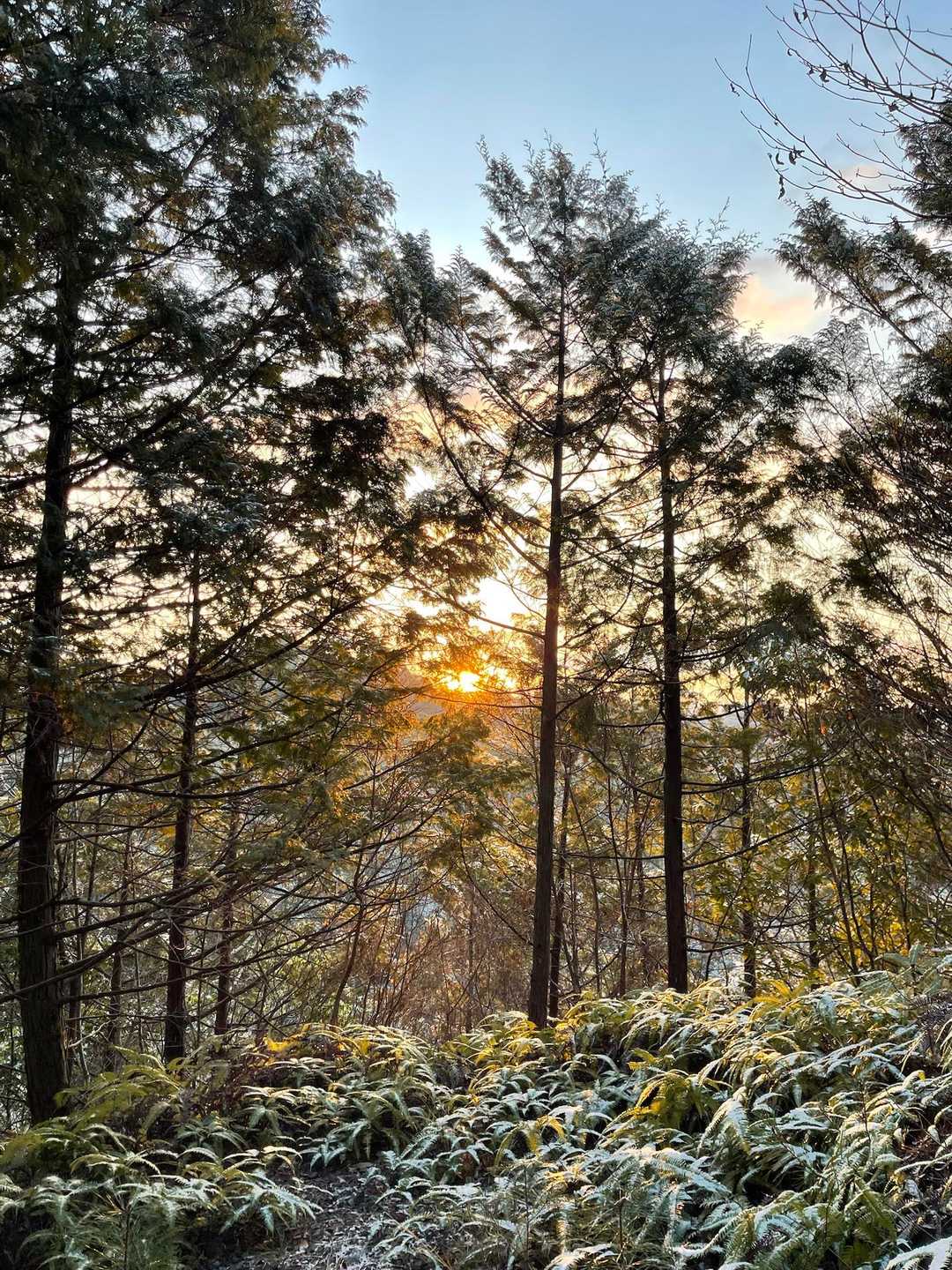 蓮華山 周回コースの写真