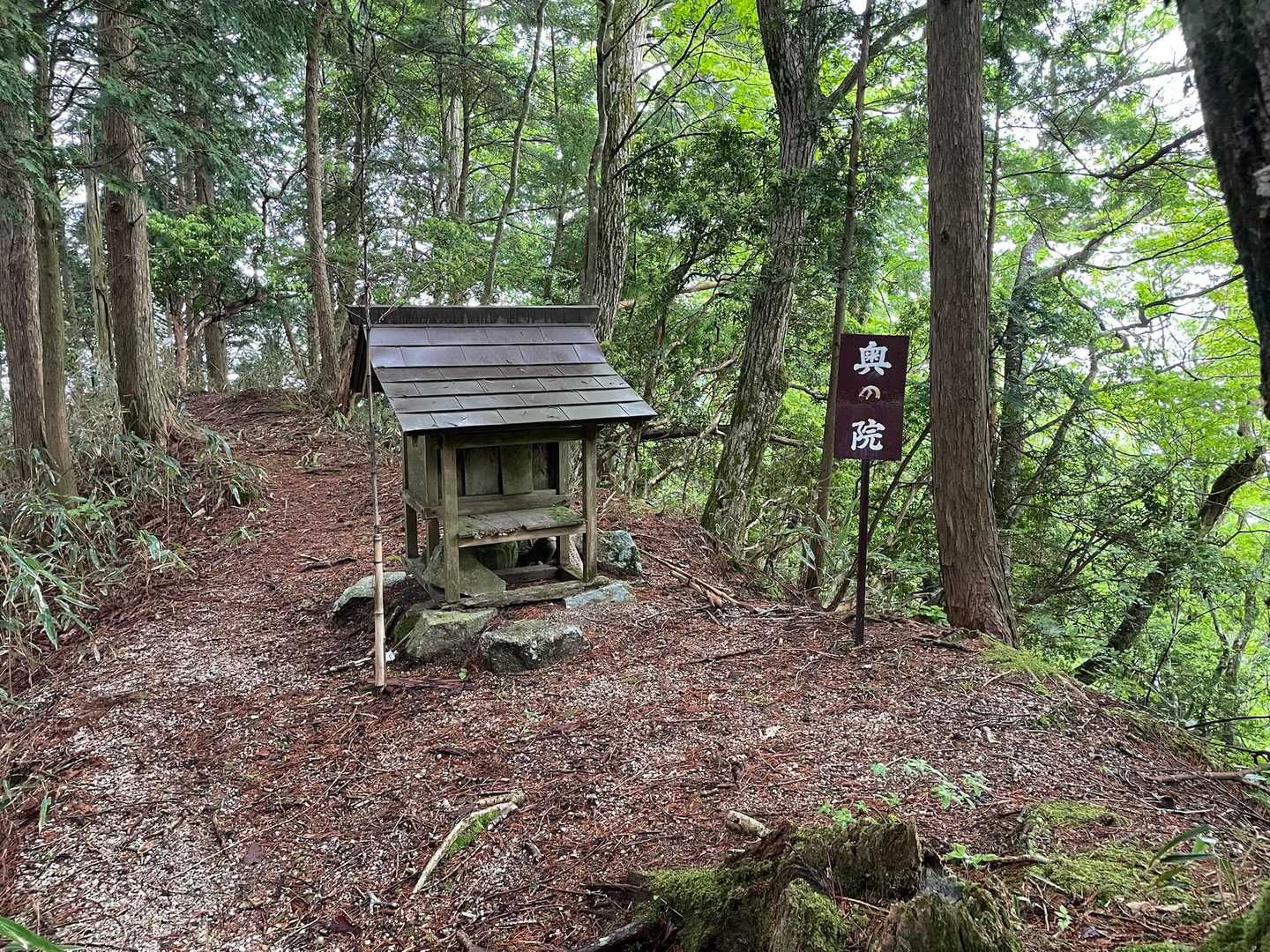 途中、お尻の白いシカに出会ってびっくり🦌