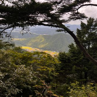 山頂の岩場から西の眺望。