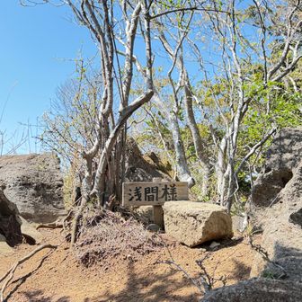 宇藤原浅間山到着❗️
狭いけどここも眺望が広がってます😁