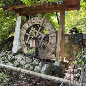 高天水車は空からの天水により1回転7秒の早さで廻っているとのこと
1日86400秒であるため、12342.85714回廻ってあることになる。9,6,0の数字がないことから
「苦労がない」ことを願い日々廻って下さって居るとのこと

