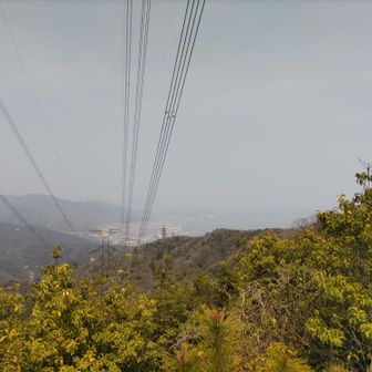 音羽山（三等三角点593．0ｍ）に到着
ガスっていて
遠くが見えない