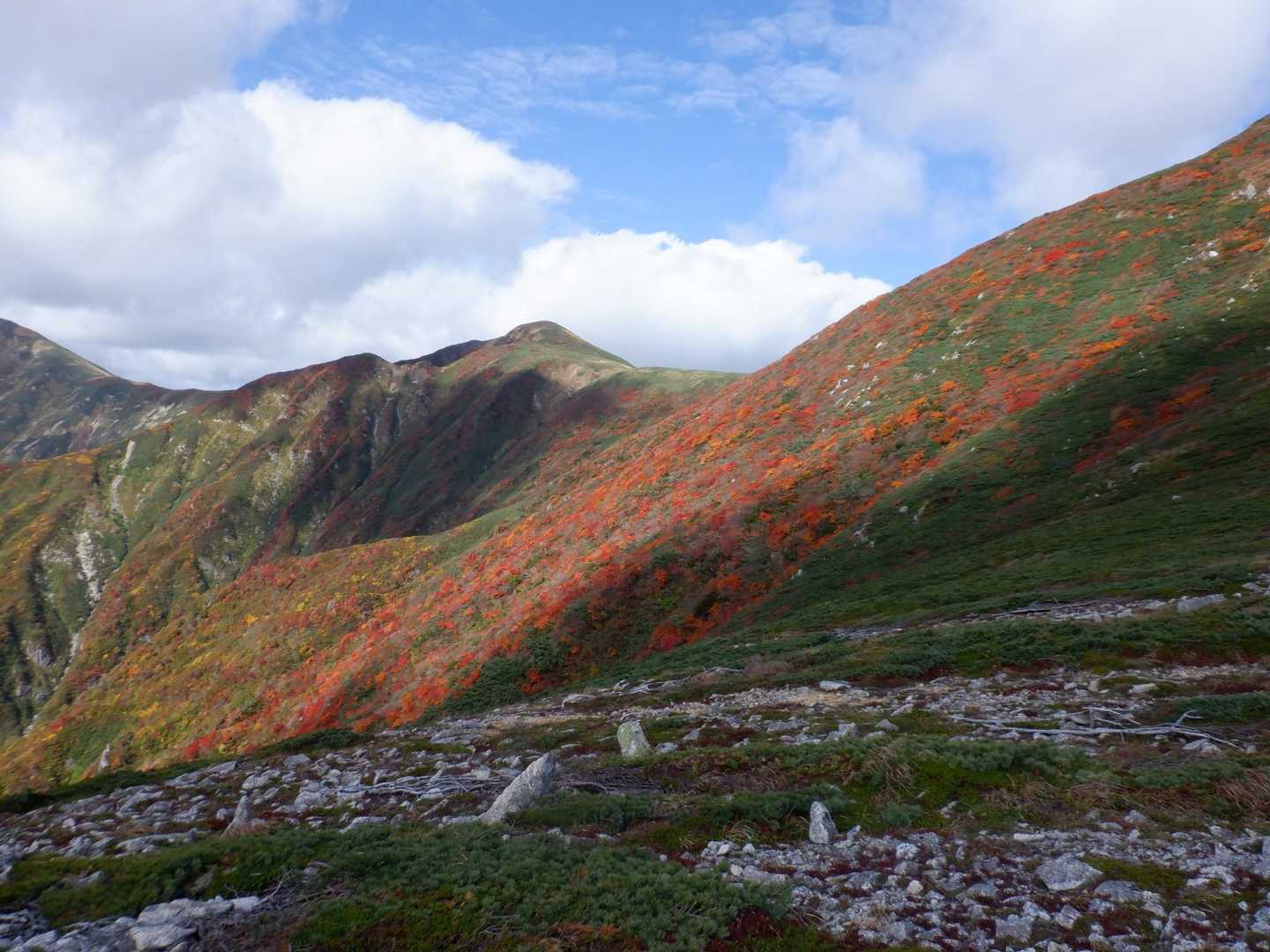 中岳🍁