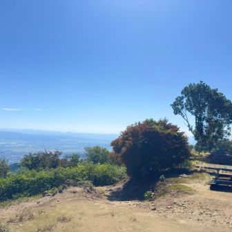 初秋を感じる九千部山でした。