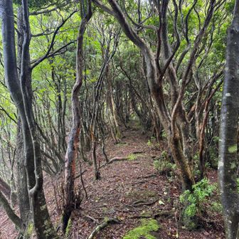雨が続いてたから
期待したんだけどな🍄
全然早かったね。