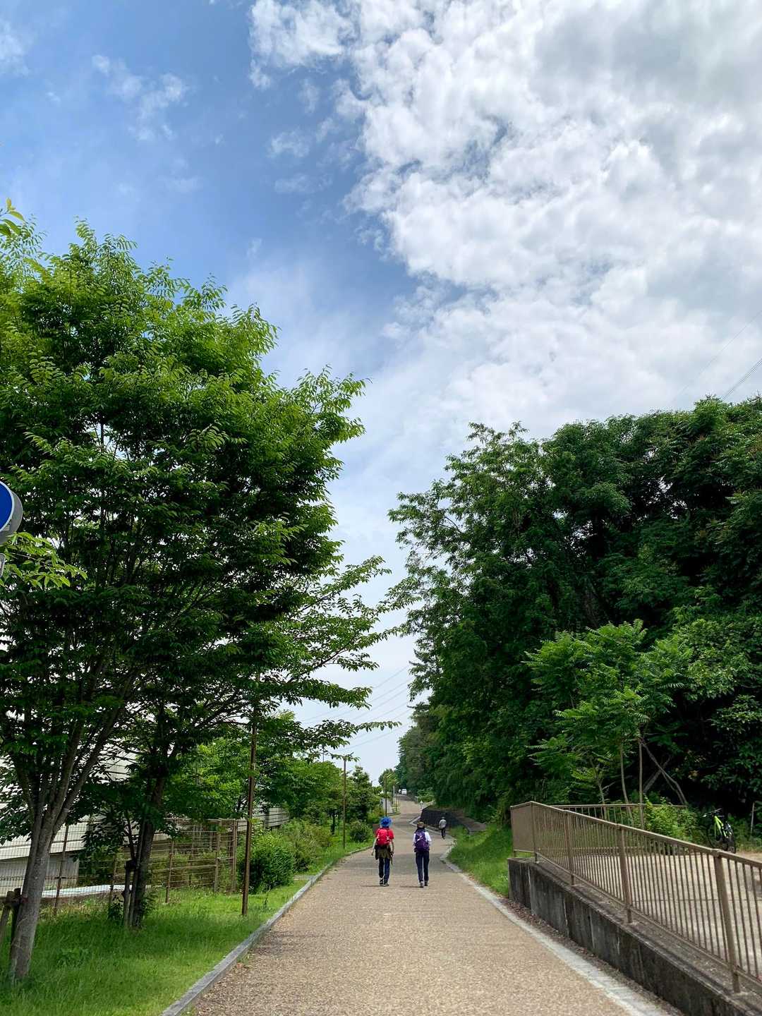 国見山登山口-国見山-国見山登り口-交野山登り口-交野山 周回コースの写真
